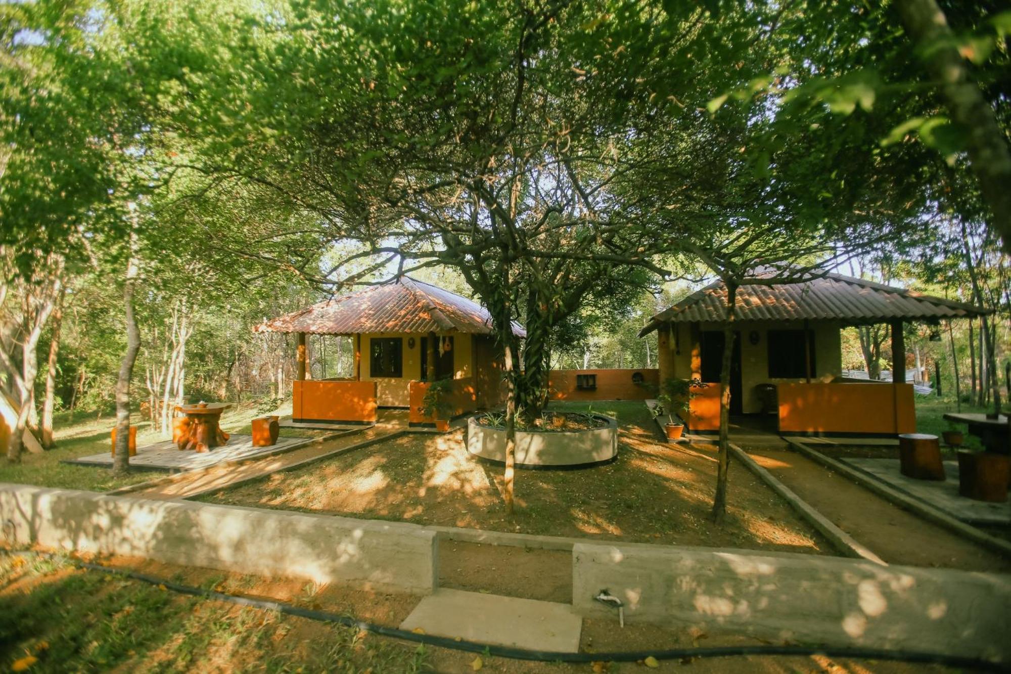Niyagala Lodge Sigiriya Exterior foto